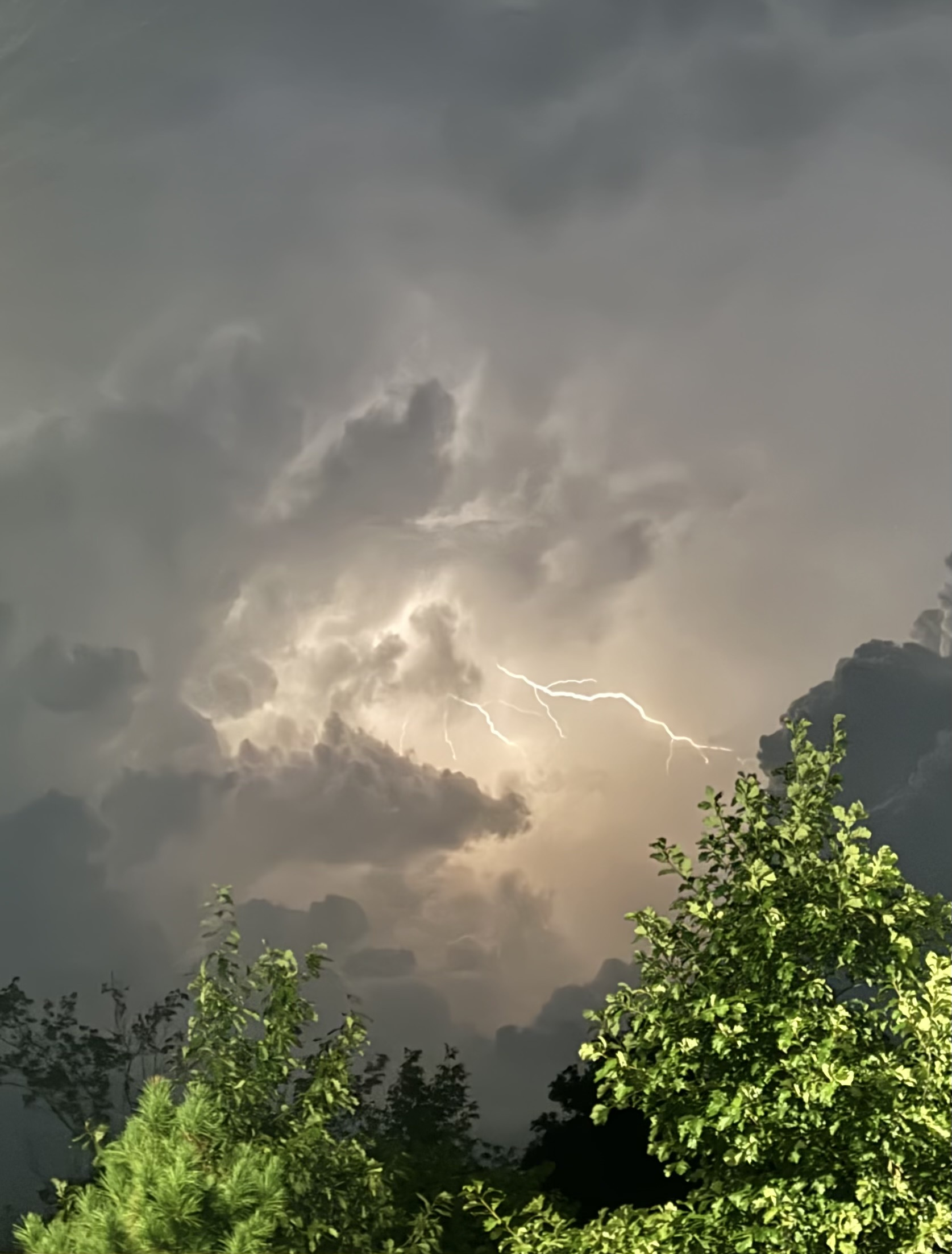 A branched bolt of lightning crossing the underside of the same storm cloud, above treetops.