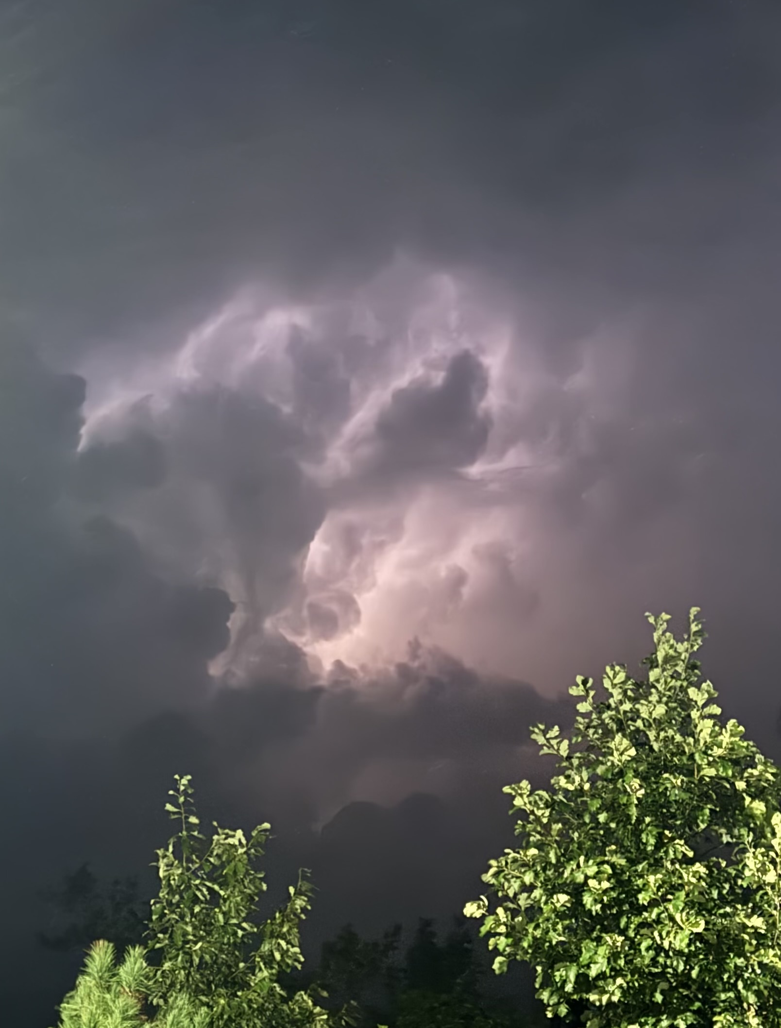 A storm cloud lit from within by lightning, with treetops in the foreground.