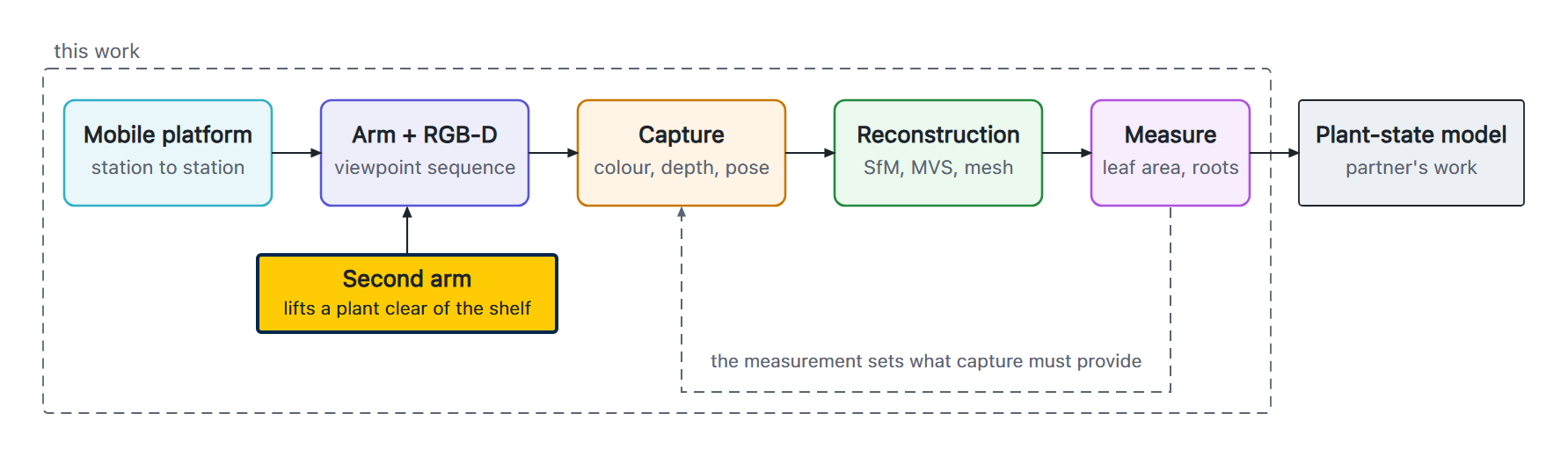 A chain of five stages: a mobile platform moves station to station, an arm carrying an RGB-D camera follows a viewpoint sequence, capture records colour, depth and pose, reconstruction runs structure-from-motion and multi-view stereo, and measurement extracts leaf area and roots. A second arm lifts a plant clear of the shelf so the camera arm can reach it. A dashed return path shows the measurement setting what the capture must provide. A sixth box, the partner's plant-state model, sits outside the boundary of this work.