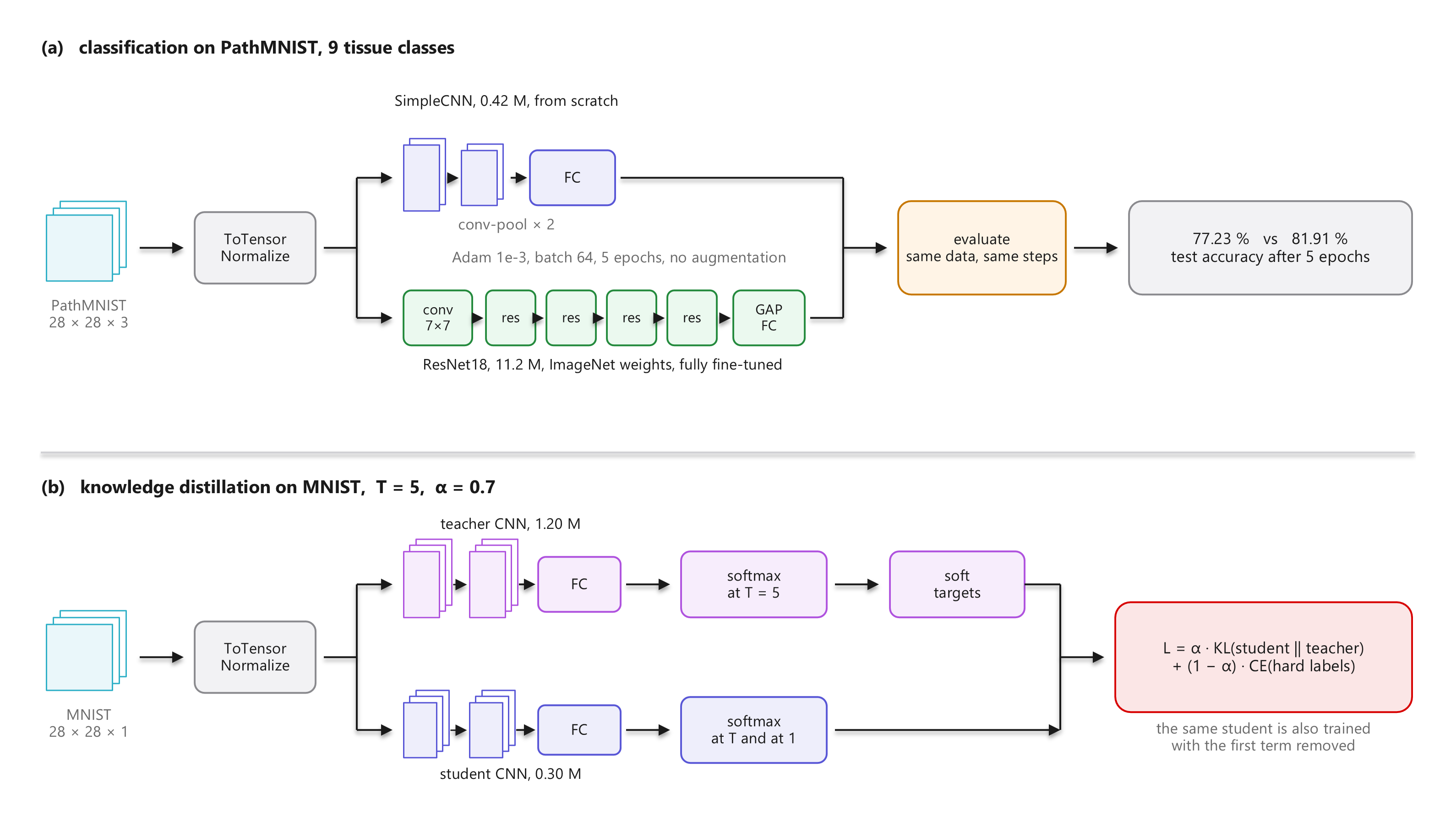 Two panels. (a) PathMNIST tiles are converted to tensors and normalised, then split into two branches: a two-block SimpleCNN of 0.42 million parameters with a fully connected head, and an ImageNet-pretrained ResNet18 of 11.2 million parameters, a 7 by 7 convolution, four residual stages, global average pooling and a fully connected head. Both are evaluated on the same data for the same number of steps, giving 77.23 against 81.91 percent. (b) MNIST goes to a teacher CNN of 1.20 million parameters whose softmax at temperature 5 produces soft targets, and to a student CNN of 0.30 million parameters; the loss is alpha times the KL divergence to the teacher plus one minus alpha times the cross entropy against the hard labels, and the same student is also trained with the first term removed.