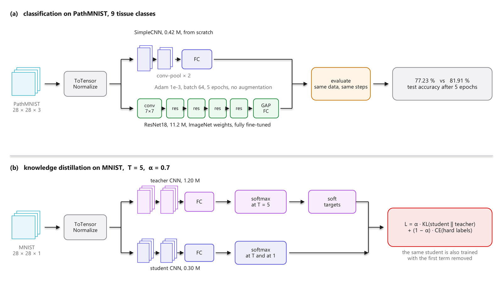 The two experiments drawn as one figure: PathMNIST split between a SimpleCNN and a pre-trained ResNet18, and MNIST distilled from a teacher CNN into a half-width student